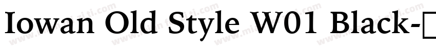 Iowan Old Style W01 Black字体转换
